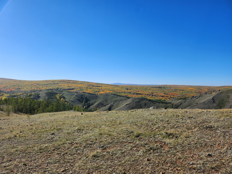 20230923_145518.jpg