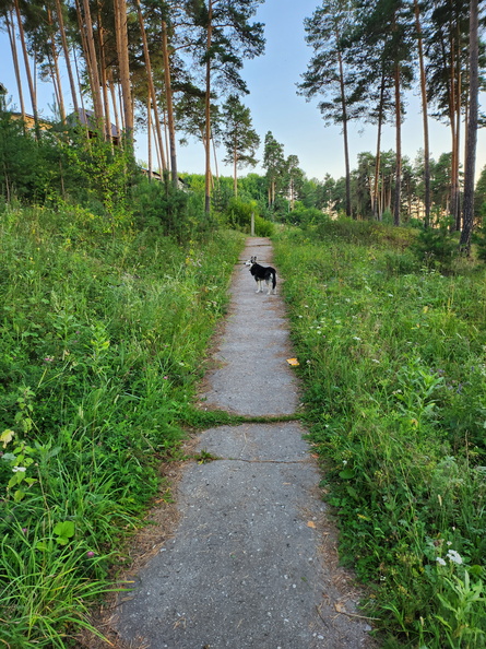 20230814_201505.jpg