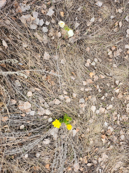 20230429_104224.jpg