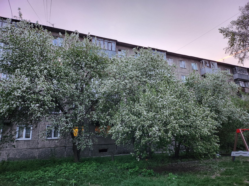 20230506_204157.jpg