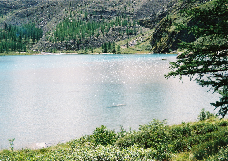 170.JPG