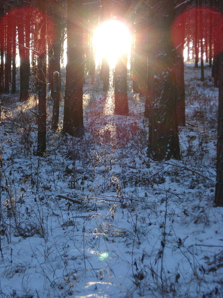 dsc01729.jpg
