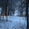 dsc01734