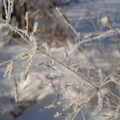 dsc01740