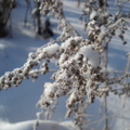 dsc01745