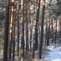 dsc01746