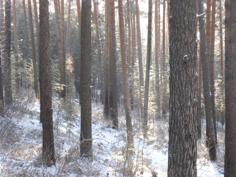 dsc01749.jpg