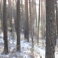 dsc01749
