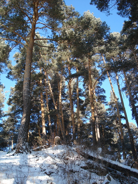 dsc01758.jpg