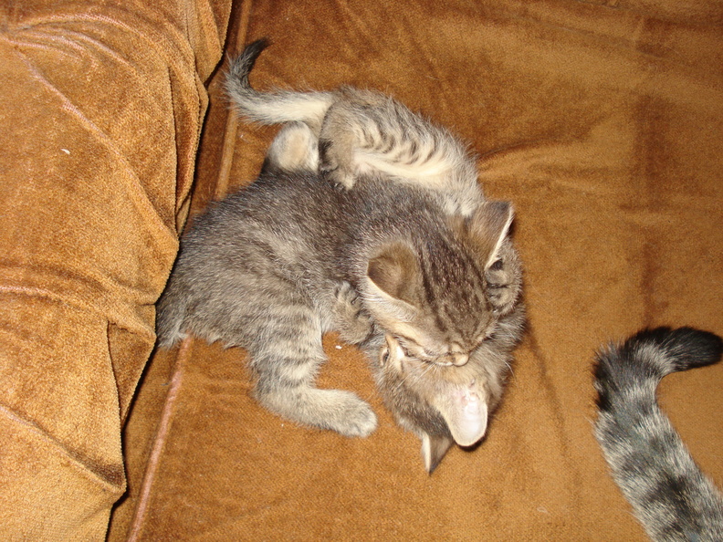 dsc02018.jpg