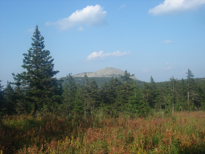 DSC06373.JPG