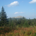 DSC06373