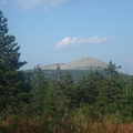 DSC06374