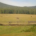DSC06471