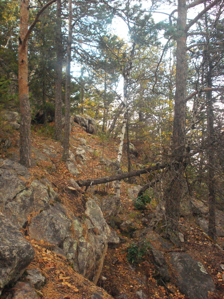 DSC06563.JPG