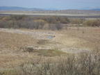  sc01011