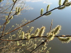  sc01021