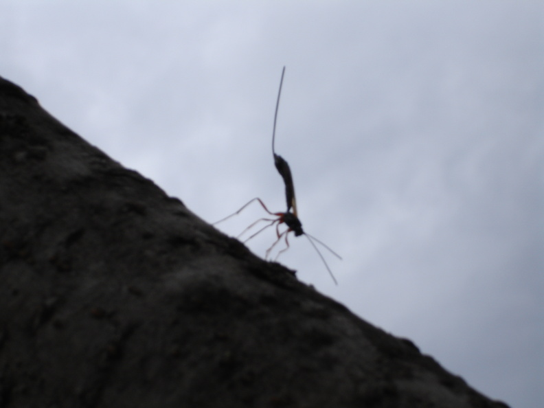 DSC01639.JPG
