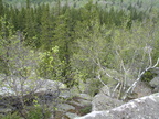 DSC00923 (просмотров: 41647) DSC00923