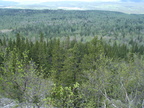 DSC00924 (просмотров: 41644) DSC00924