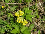 DSCN5633