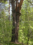 DSCN5634