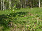 DSCN5635