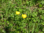 DSCN5636