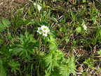 DSCN5638