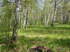 DSCN5643