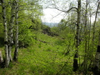 DSCN5652