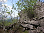 DSCN5685