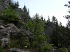 DSCN5689