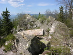 DSCN5698