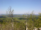 DSCN5701