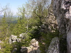 DSCN5702