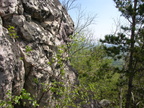 DSCN5703