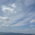 DSCN5767