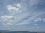 DSCN5767