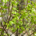DSCN5796