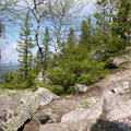 DSCN5799