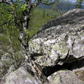 DSCN5801