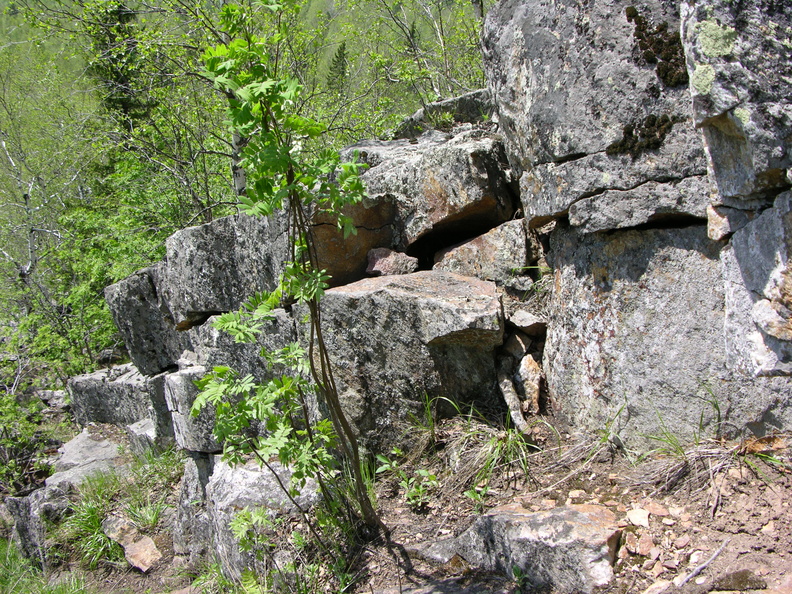 DSCN5813.JPG