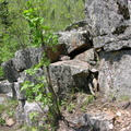 DSCN5813