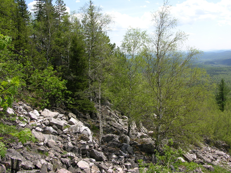 DSCN5814.JPG