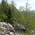 DSCN5814
