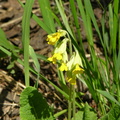 DSCN5851