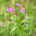 DSCN5852