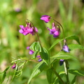 DSCN5853