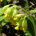 DSCN5857
